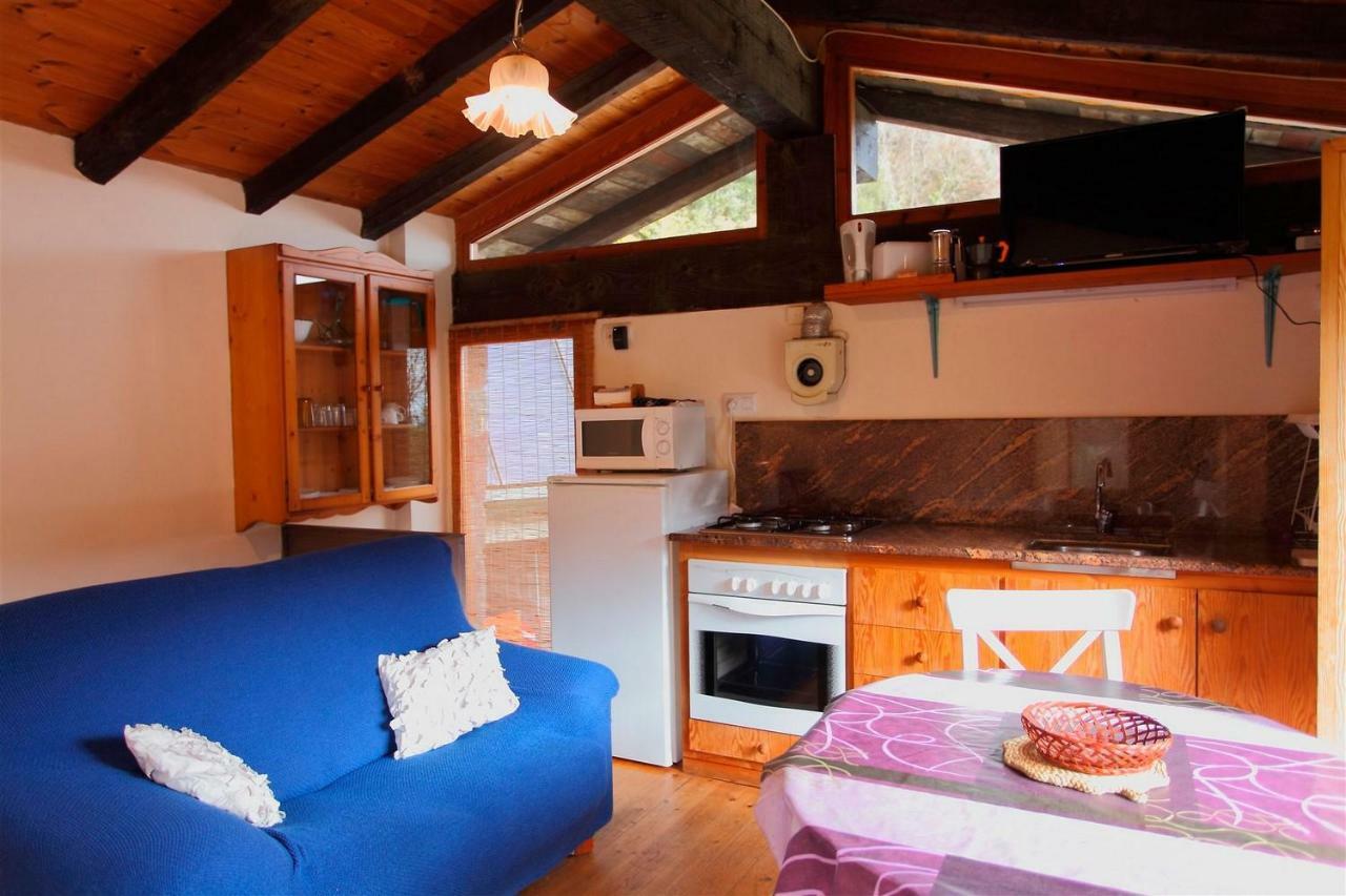 La Cabana Del Moli De La Plana Riudaura Exterior foto