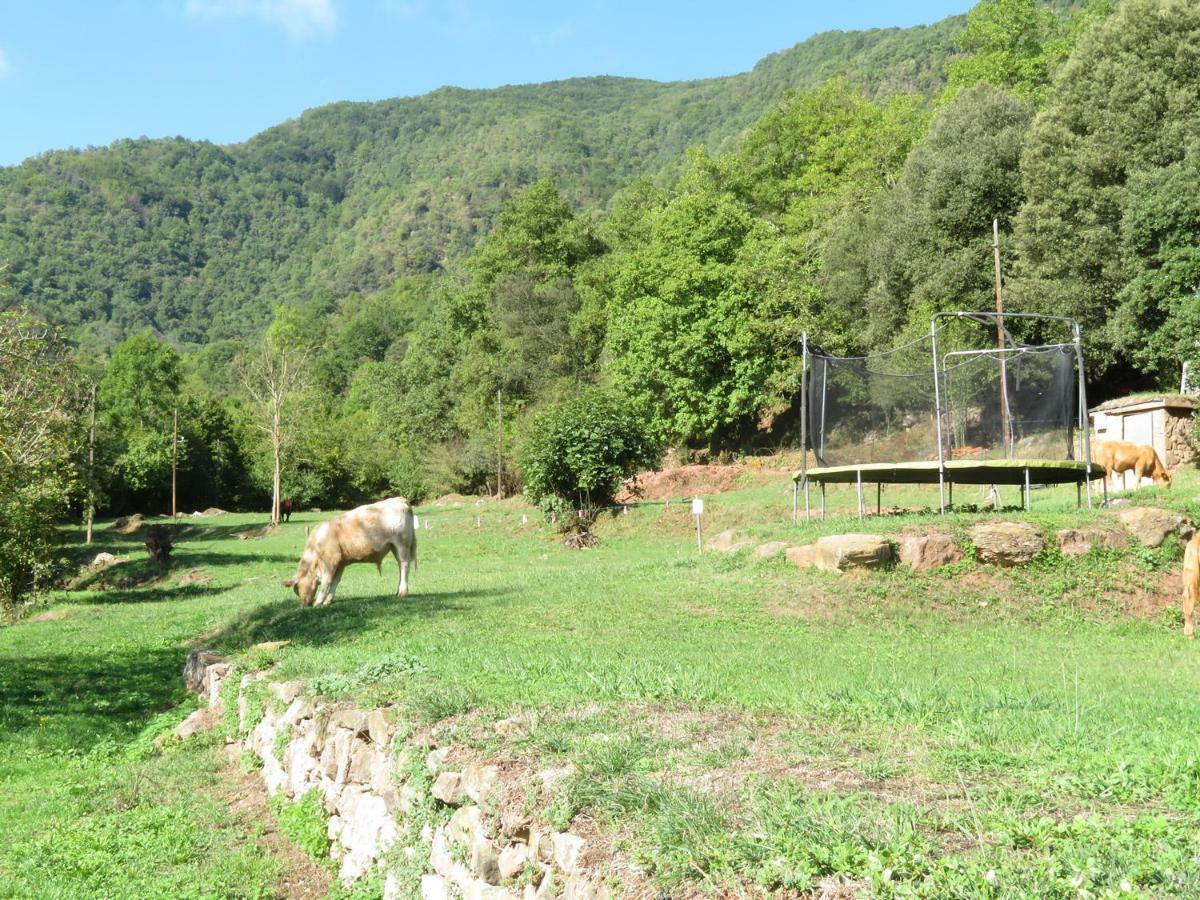 La Cabana Del Moli De La Plana Riudaura Exterior foto